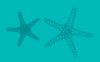 Starfish